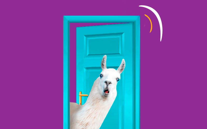 Quick Llama